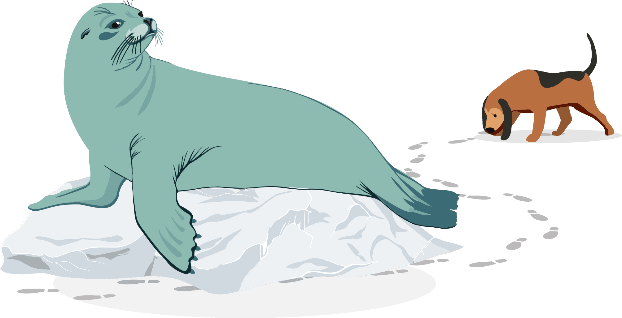 Privacy Illustration