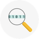 Encrypted Icon